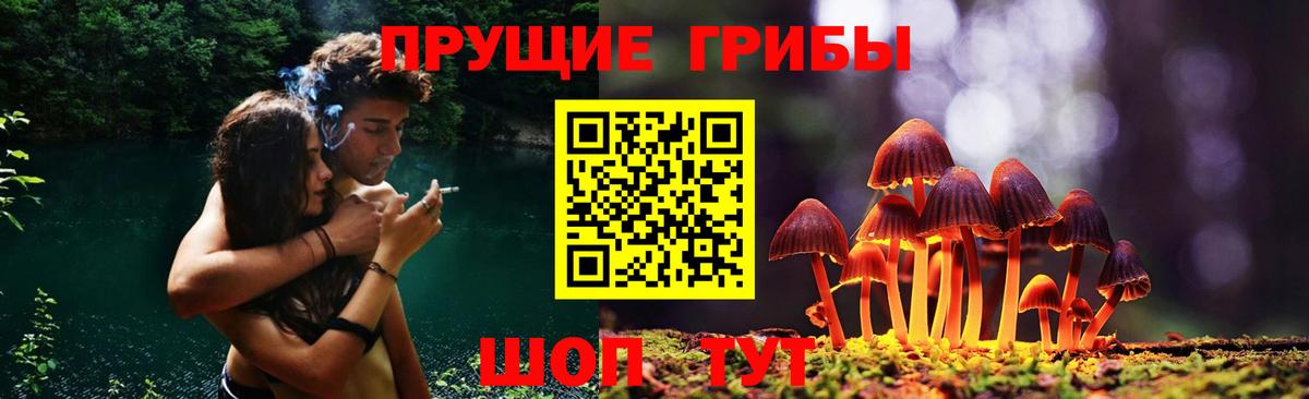 Галлюциногенные грибы прущие грибы Лысьва