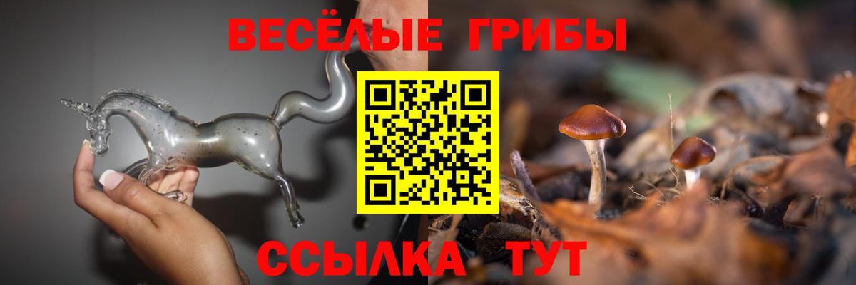Галлюциногенные грибы прущие грибы  Вход с VPN  Лысьва  Галлюциногенные грибы мухоморы 